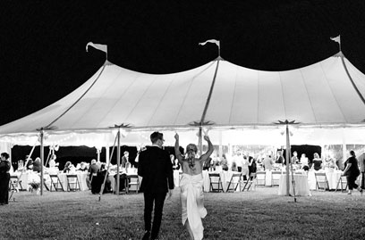 weddings-cat